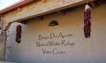 Bosque Del Apache Visitor Center