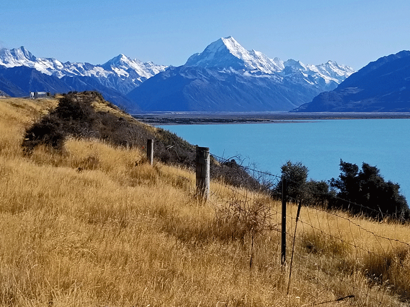 View of Lake Pukaki and Aoraki/Mount Cook